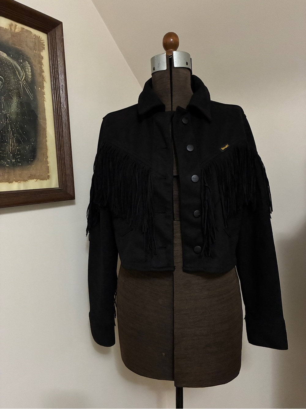 Vegan Suede Wrangler Cropped Fringe Jacket - Picture 2 of 13